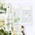 ＜送料無料＞【nahrin】ナリン サマーキット2025
