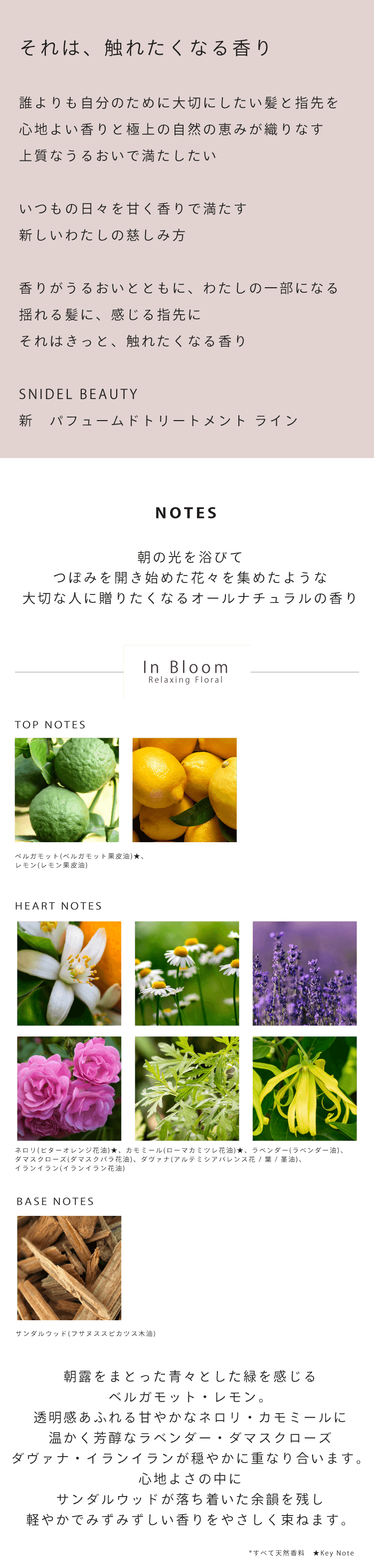 SNIDEL BEAUTY パフュームド ヘア ミスト イン ブルーム 25ml 楽天市場】snidel beauty スナイデル ビューティー SNIDEL