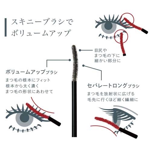 AINOKI mebuki】プレゼンスラッシュマスカラ<全2色> |Biople AINOKI mebuki】プレゼンスラッシュマスカラ<全2色> |Biople