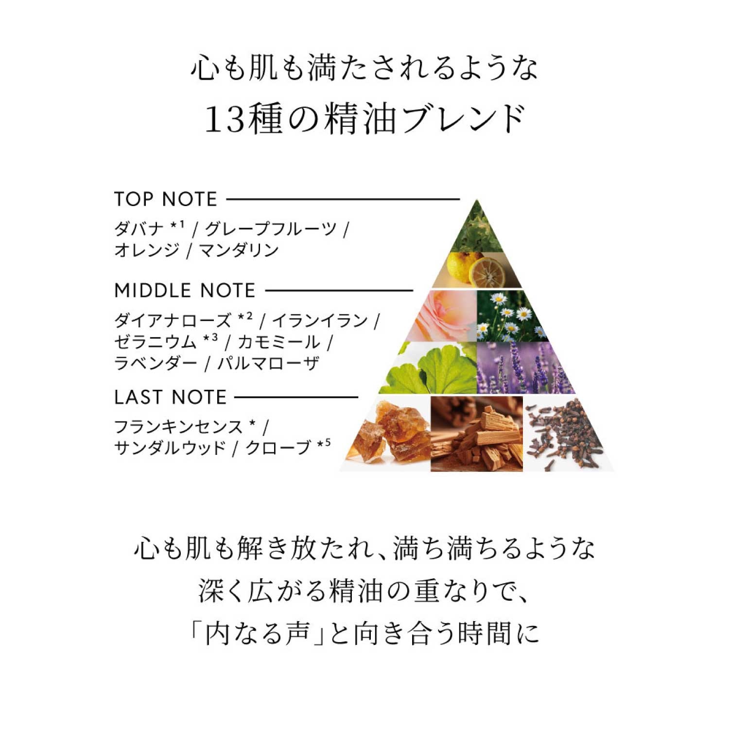 Celvoke】サマーリュクス キット ｜Celvoke Website｜セル