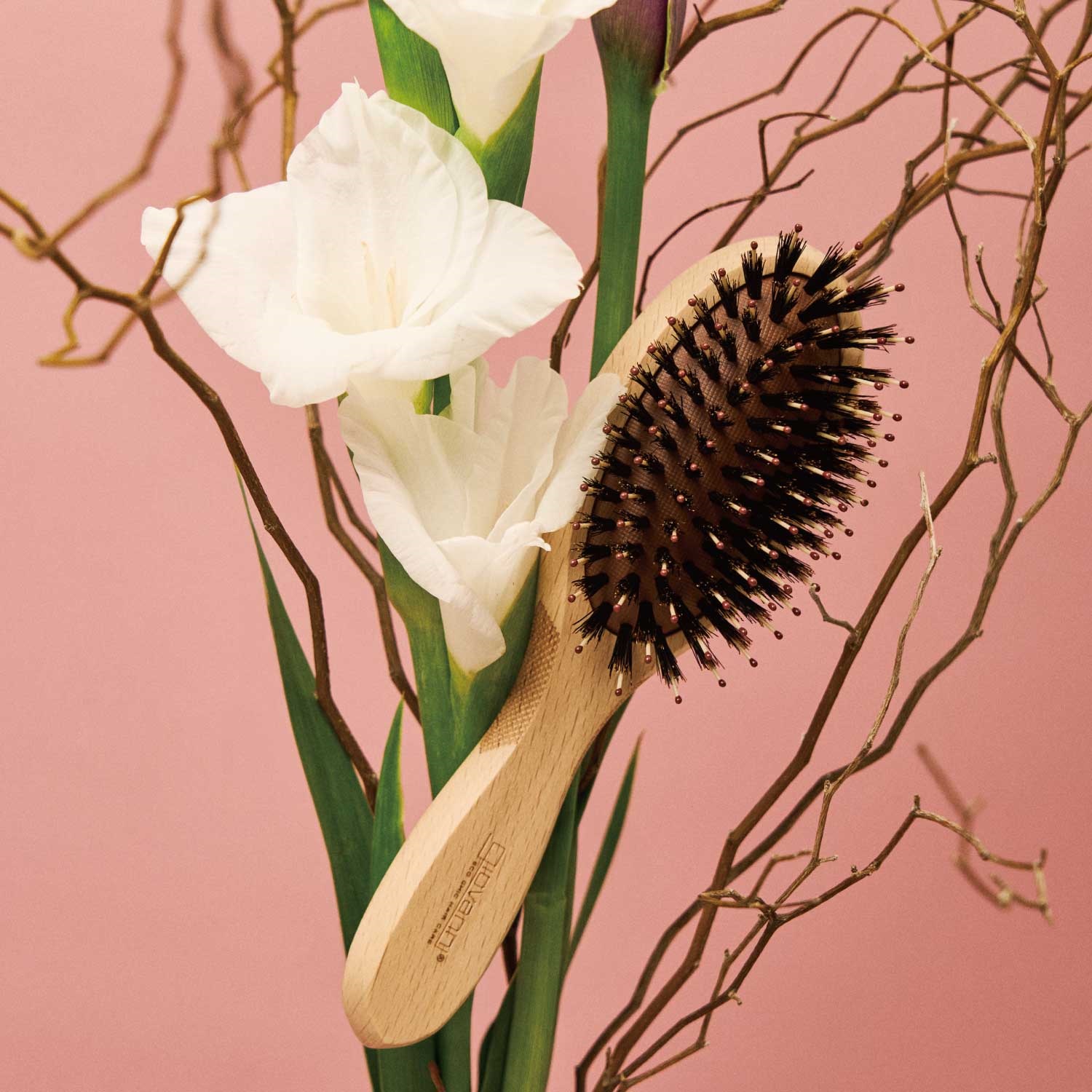 giovanni】ツヤ髪ミニブラシキット 2025AW ｜Biople WEB STORE