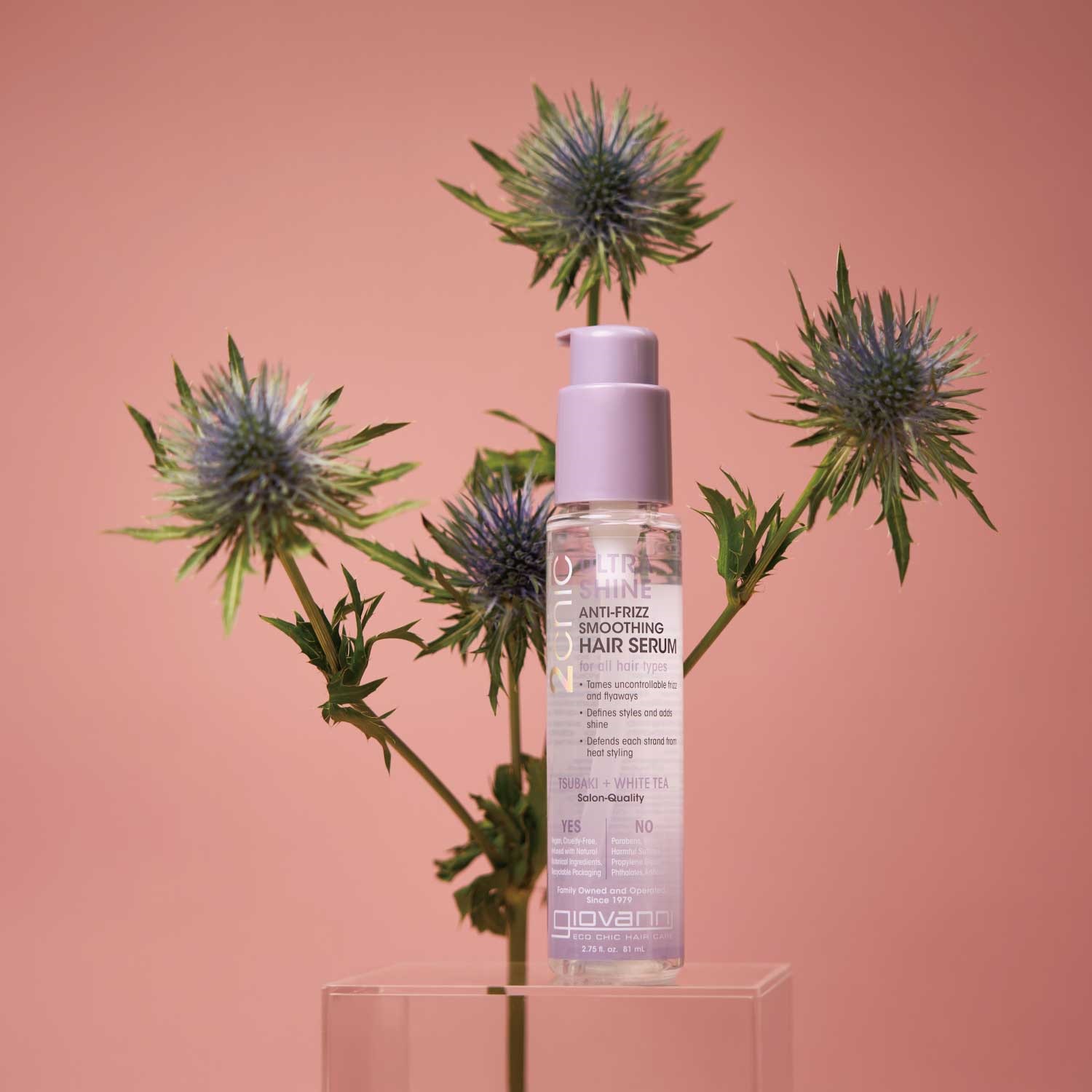 giovanni】ツヤ髪ミニブラシキット 2025AW ｜Biople WEB STORE