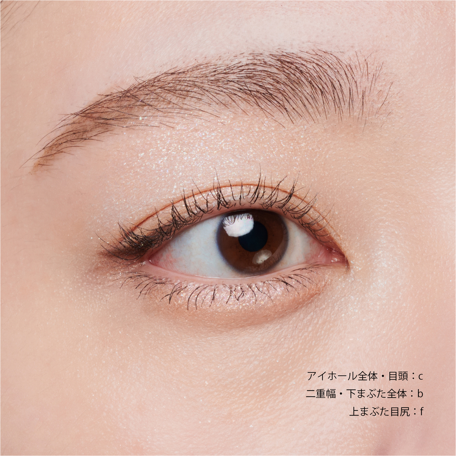 SNIDEL BEAUTY】アイデザイナー 09 （初回限定） ｜EYE COLOR アイ ...